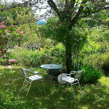 Plumes D'art Cerizols