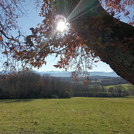 Plumes D'art 住宿加早餐酒店 3*