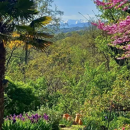 Plumes D'art 住宿加早餐酒店