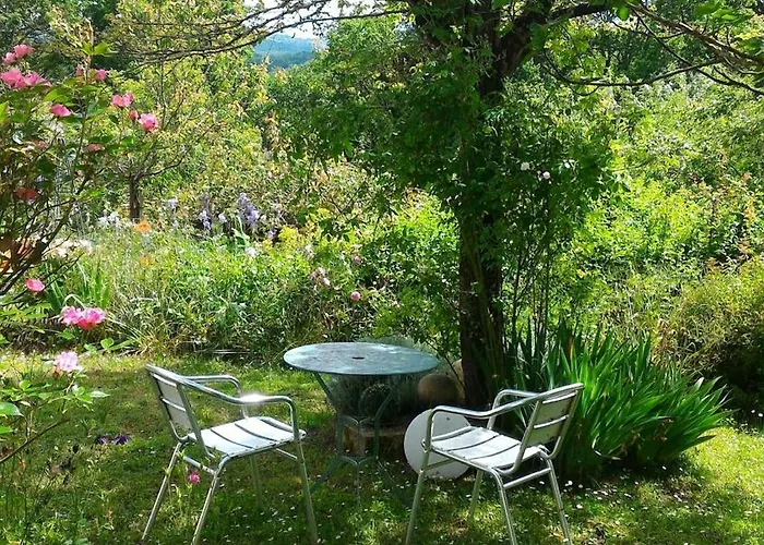 Plumes D'art Cerizols