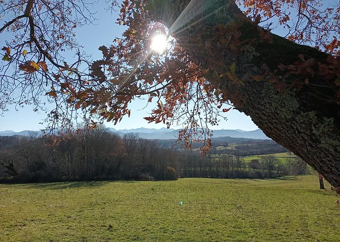 Plumes D'art Bed and Breakfast 3*