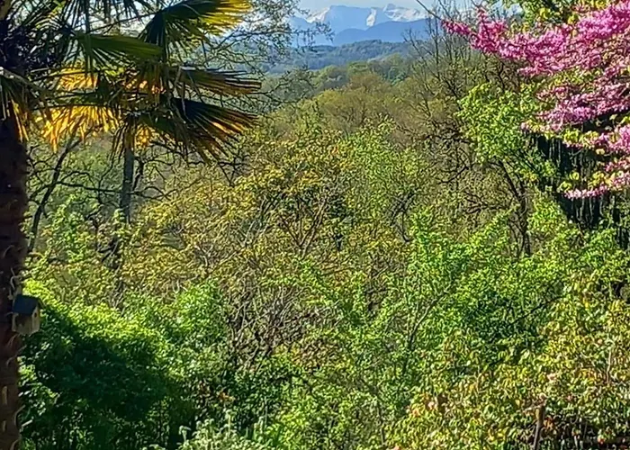 Plumes D'art Bed and Breakfast